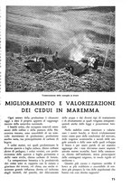 giornale/TO00174164/1938/unico/00000081