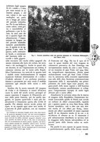 giornale/TO00174164/1938/unico/00000105