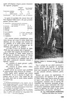 giornale/TO00174164/1938/unico/00000119