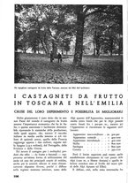 giornale/TO00174164/1938/unico/00000120