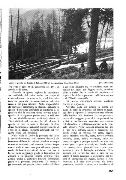 L'alpe rivista forestale italiana fondata dalla Società emiliana pro-montibus et sylvis