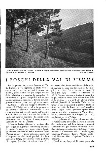 L'alpe rivista forestale italiana fondata dalla Società emiliana pro-montibus et sylvis