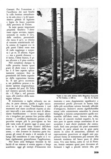 L'alpe rivista forestale italiana fondata dalla Società emiliana pro-montibus et sylvis