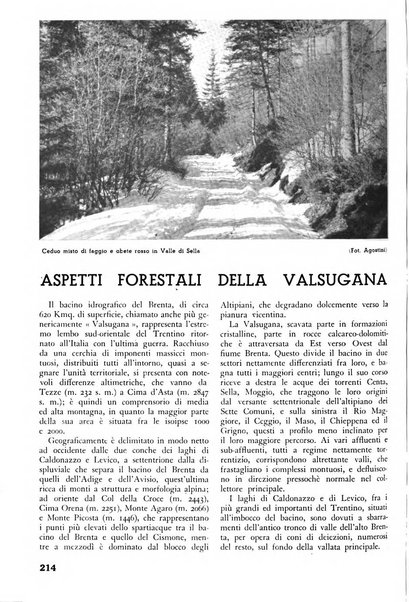 L'alpe rivista forestale italiana fondata dalla Società emiliana pro-montibus et sylvis