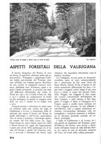 giornale/TO00174164/1938/unico/00000234