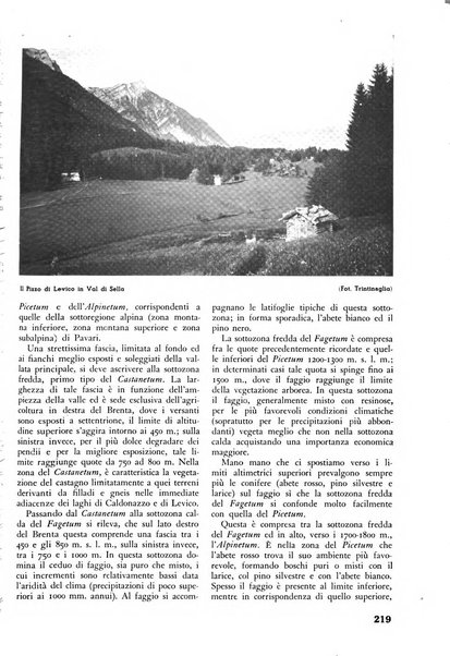 L'alpe rivista forestale italiana fondata dalla Società emiliana pro-montibus et sylvis