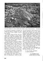 giornale/TO00174164/1938/unico/00000252