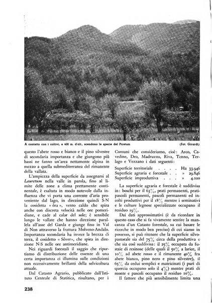 L'alpe rivista forestale italiana fondata dalla Società emiliana pro-montibus et sylvis