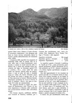 giornale/TO00174164/1938/unico/00000258
