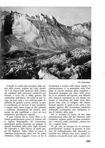 L'alpe rivista forestale italiana fondata dalla Società emiliana pro-montibus et sylvis