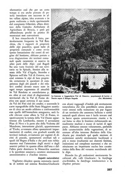 L'alpe rivista forestale italiana fondata dalla Società emiliana pro-montibus et sylvis