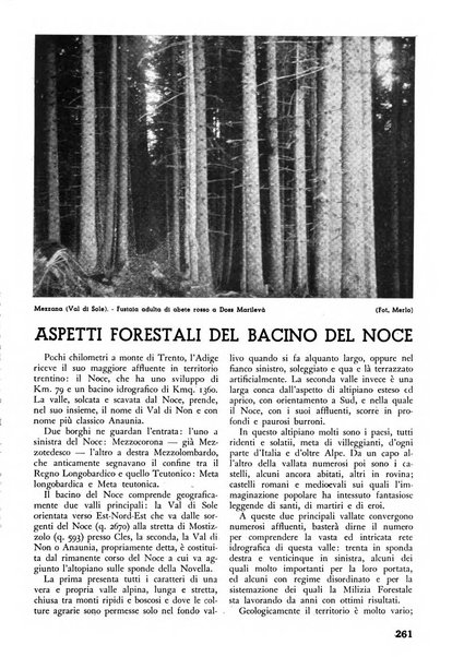 L'alpe rivista forestale italiana fondata dalla Società emiliana pro-montibus et sylvis