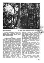 giornale/TO00174164/1938/unico/00000295