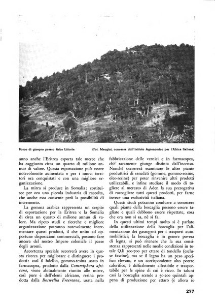 L'alpe rivista forestale italiana fondata dalla Società emiliana pro-montibus et sylvis