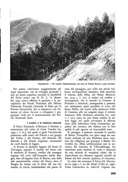 L'alpe rivista forestale italiana fondata dalla Società emiliana pro-montibus et sylvis