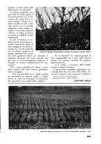 giornale/TO00174164/1938/unico/00000319