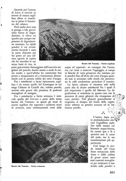 L'alpe rivista forestale italiana fondata dalla Società emiliana pro-montibus et sylvis