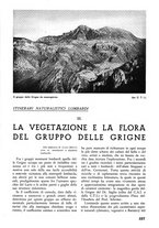 giornale/TO00174164/1938/unico/00000355