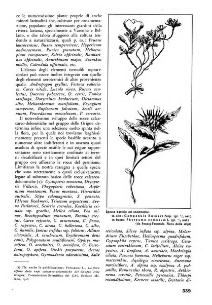 L'alpe rivista forestale italiana fondata dalla Società emiliana pro-montibus et sylvis