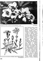 giornale/TO00174164/1938/unico/00000368