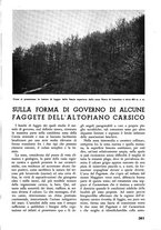 giornale/TO00174164/1938/unico/00000393