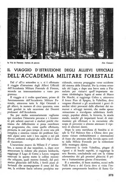 L'alpe rivista forestale italiana fondata dalla Società emiliana pro-montibus et sylvis