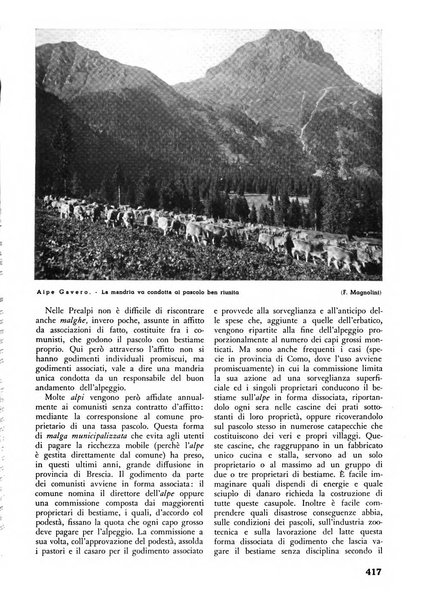 L'alpe rivista forestale italiana fondata dalla Società emiliana pro-montibus et sylvis