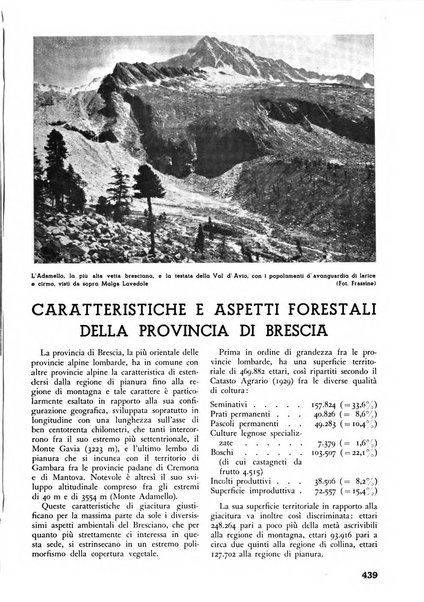 L'alpe rivista forestale italiana fondata dalla Società emiliana pro-montibus et sylvis