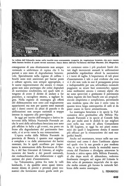 L'alpe rivista forestale italiana fondata dalla Società emiliana pro-montibus et sylvis