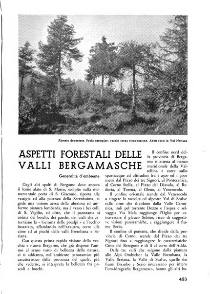 L'alpe rivista forestale italiana fondata dalla Società emiliana pro-montibus et sylvis