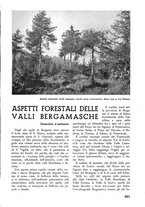 giornale/TO00174164/1938/unico/00000499