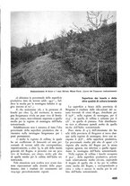 giornale/TO00174164/1938/unico/00000501