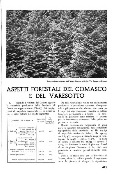 L'alpe rivista forestale italiana fondata dalla Società emiliana pro-montibus et sylvis