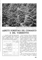 giornale/TO00174164/1938/unico/00000507