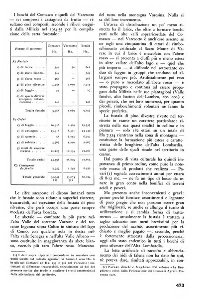 L'alpe rivista forestale italiana fondata dalla Società emiliana pro-montibus et sylvis