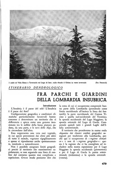 L'alpe rivista forestale italiana fondata dalla Società emiliana pro-montibus et sylvis