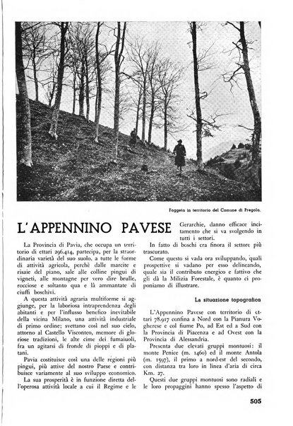 L'alpe rivista forestale italiana fondata dalla Società emiliana pro-montibus et sylvis