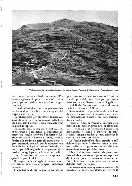 L'alpe rivista forestale italiana fondata dalla Società emiliana pro-montibus et sylvis