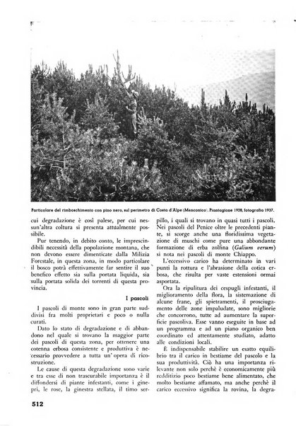 L'alpe rivista forestale italiana fondata dalla Società emiliana pro-montibus et sylvis