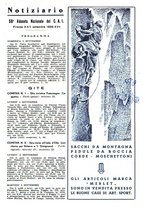 giornale/TO00174171/1938-1939/unico/00000459
