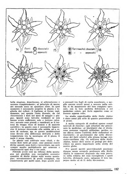 Le Alpi rivista mensile del Centro alpinistico italiano