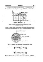 giornale/TO00174203/1936/unico/00000731