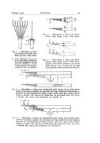 giornale/TO00174203/1940/unico/00000077