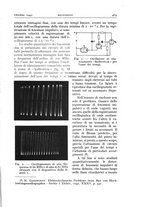 giornale/TO00174203/1942/unico/00000521