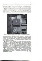 giornale/TO00174203/1944-1946/unico/00000063