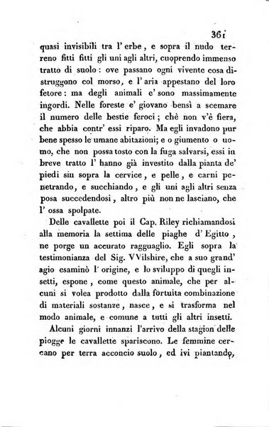 L'amico d'Italia nuovo giornale di lettere, scienze ed arti