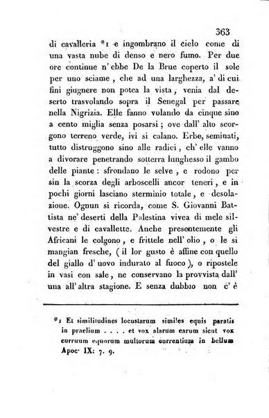 L'amico d'Italia nuovo giornale di lettere, scienze ed arti