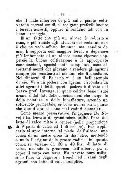 L'amico del contadino almanacco del giornale Il coltivatore