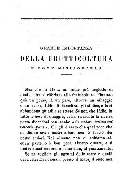 L'amico del contadino almanacco del giornale Il coltivatore