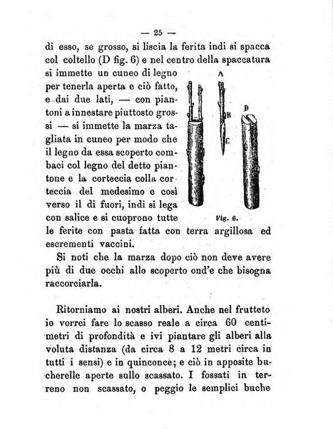 L'amico del contadino almanacco del giornale Il coltivatore